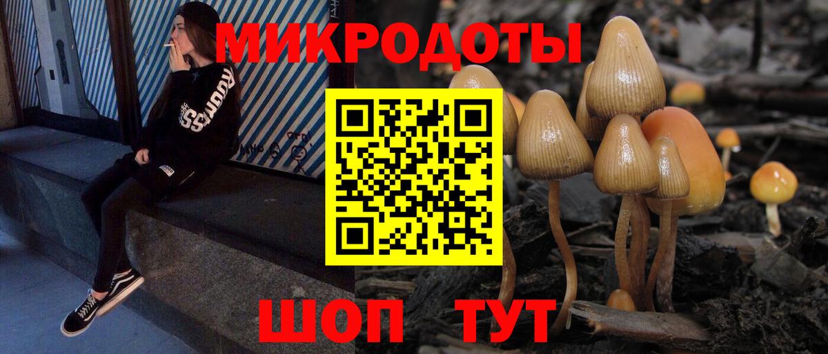 Галлюциногенные грибы ЛСД Лесной